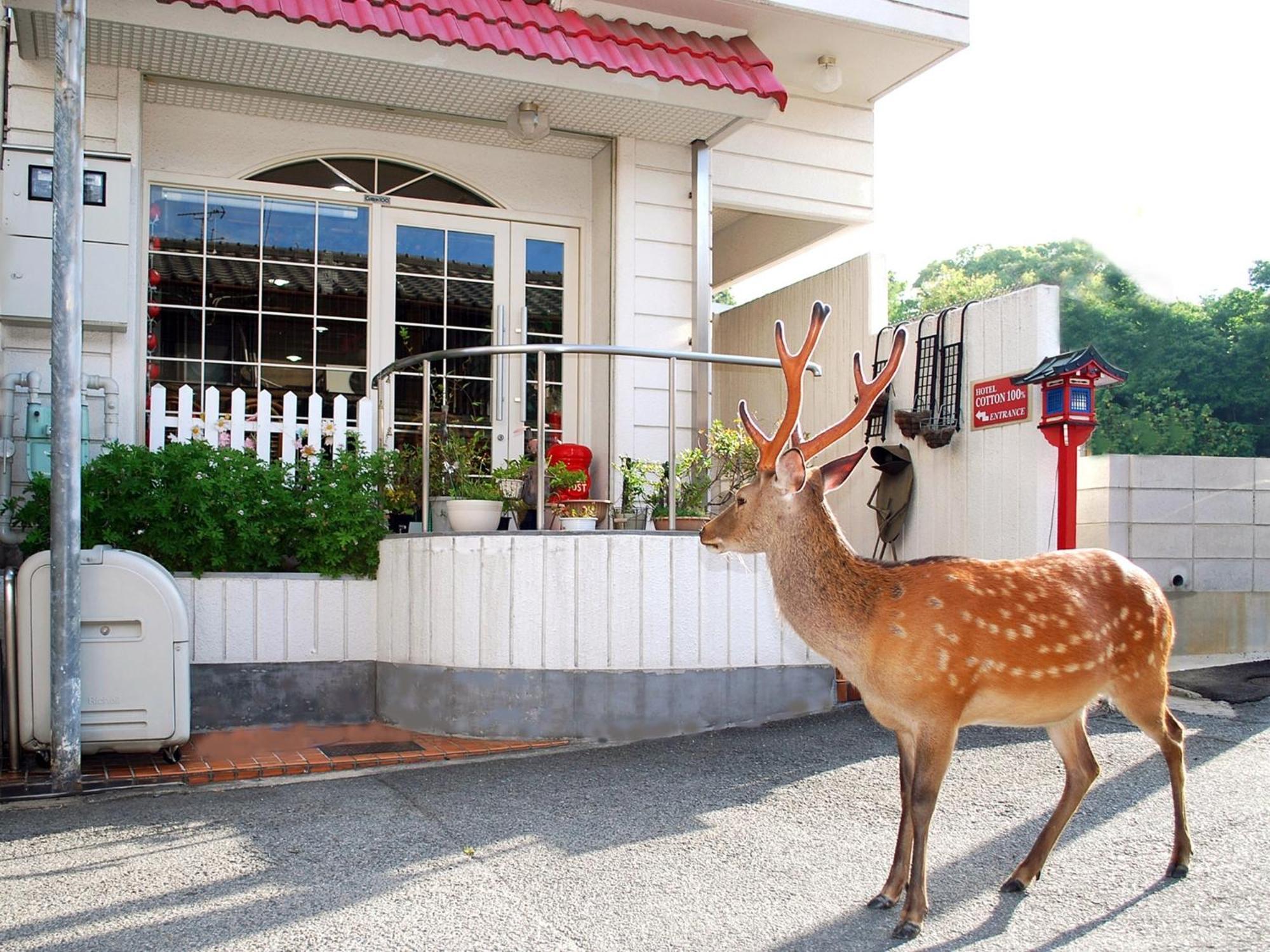 Nara - Hotel / Vacation Stay 47950 ภายนอก รูปภาพ