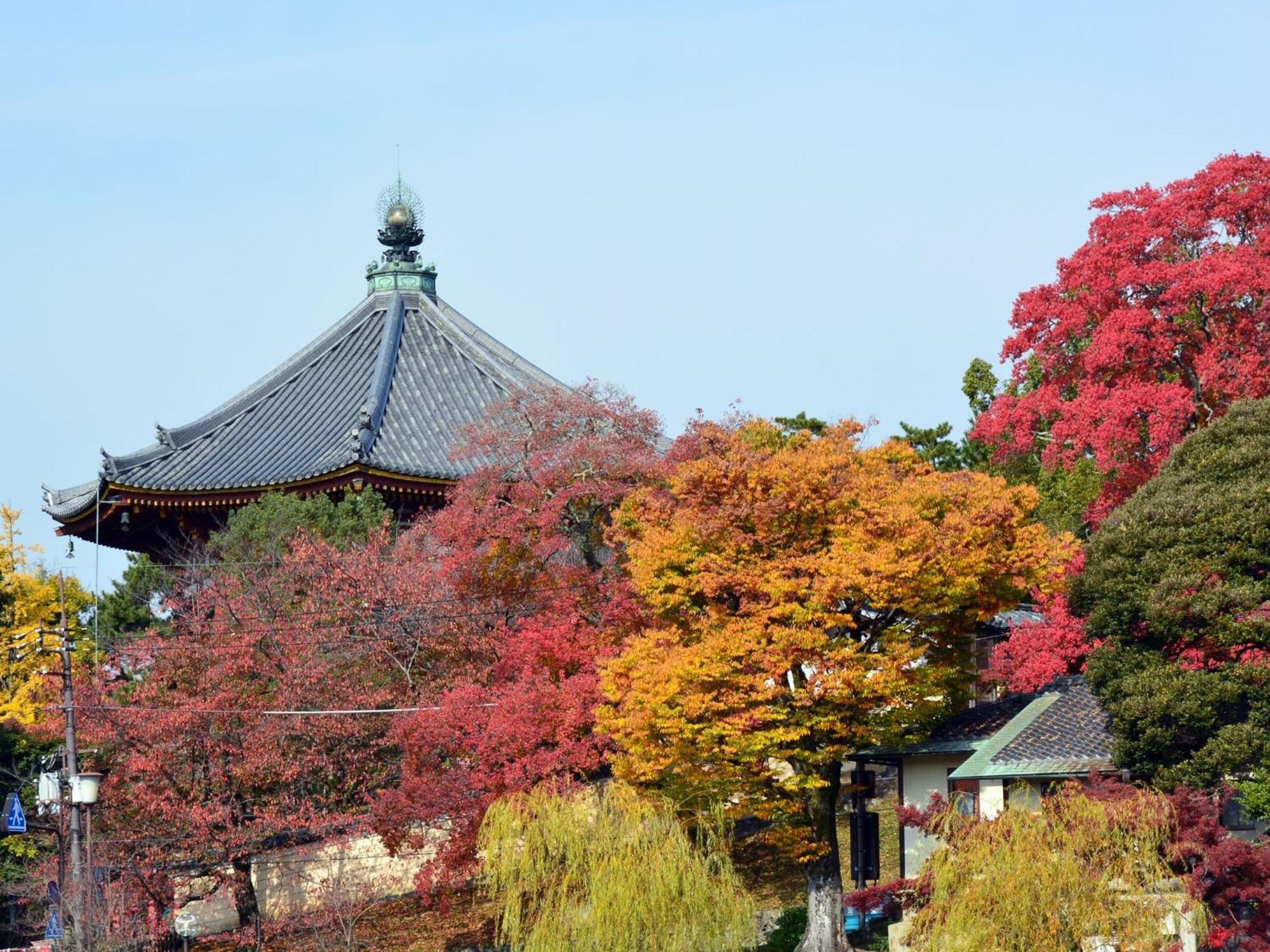 Nara - Hotel / Vacation Stay 47950 ภายนอก รูปภาพ