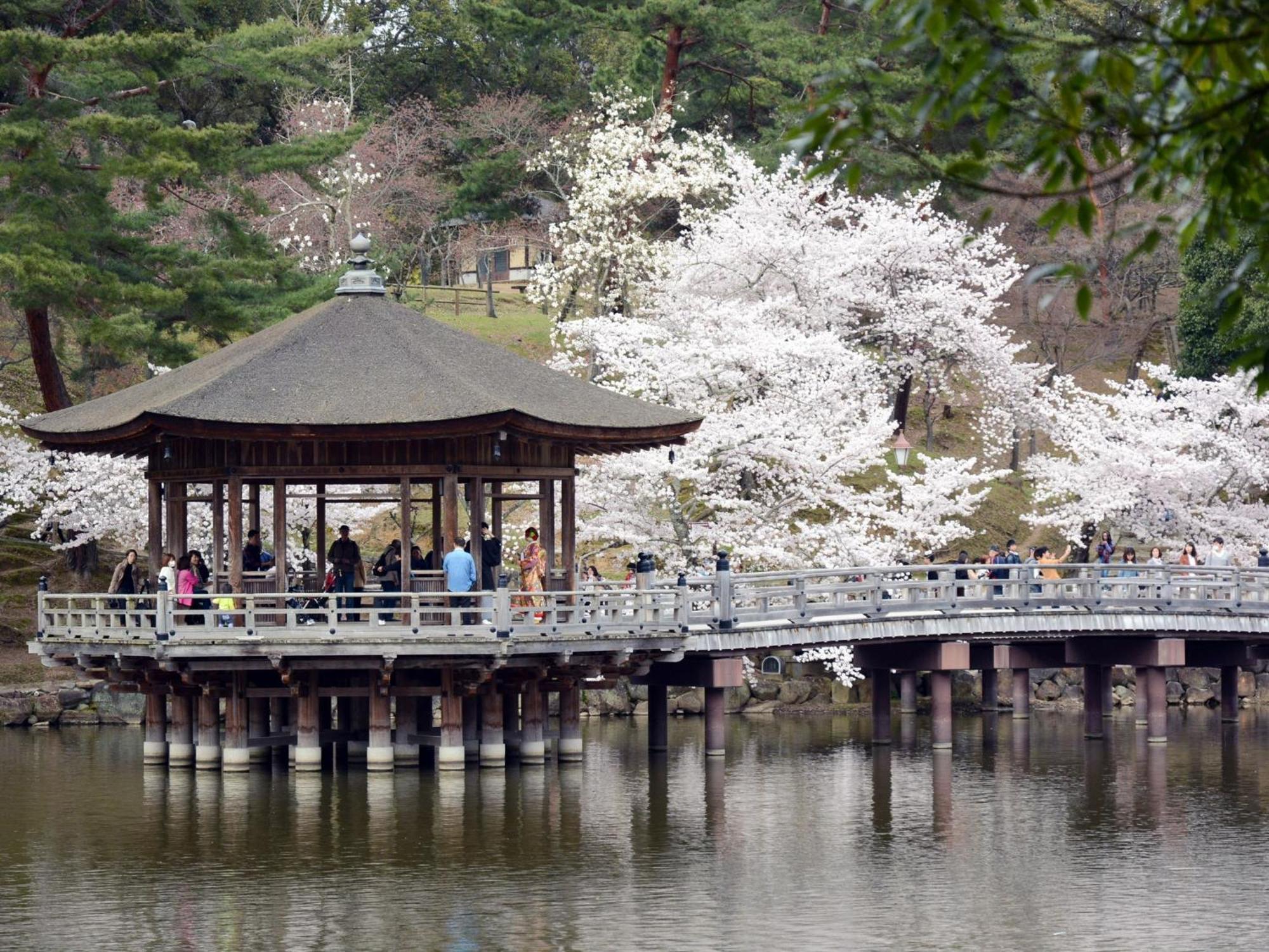 Nara - Hotel / Vacation Stay 47950 ภายนอก รูปภาพ
